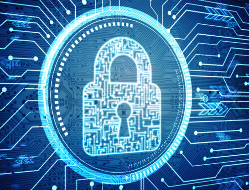 300% Revenue Growth in 12 Months for B2B SaaS Cybersecurity Startup